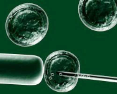 国内供卵辅助生殖中心有哪些,试管婴儿的具体步骤是什么(1-2万元)