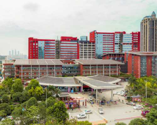 中国能做供卵试管的医院,试管婴儿取卵手术后日常饮食放葱姜蒜有影响吗？一文解答