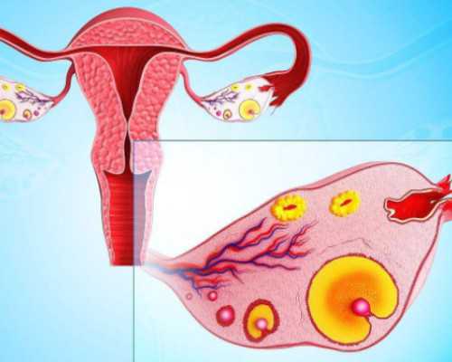 国内最大供卵机构,做试管婴儿移植成功22天后为啥有强烈的姨妈感呢？