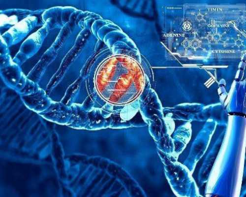 中国哪家医院可以供卵的,深圳试管有可以选性别的吗