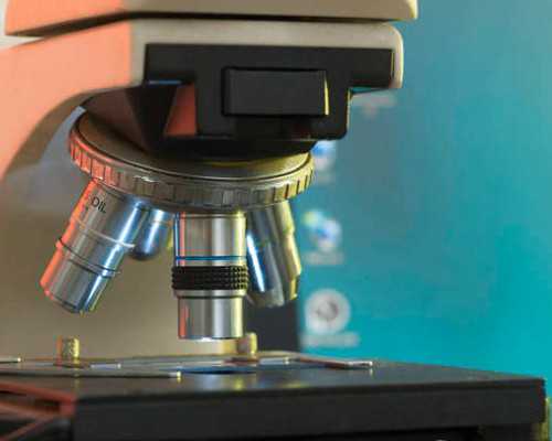 国内试管供卵流程,试管婴儿最忌讳*这些问题你占了几个