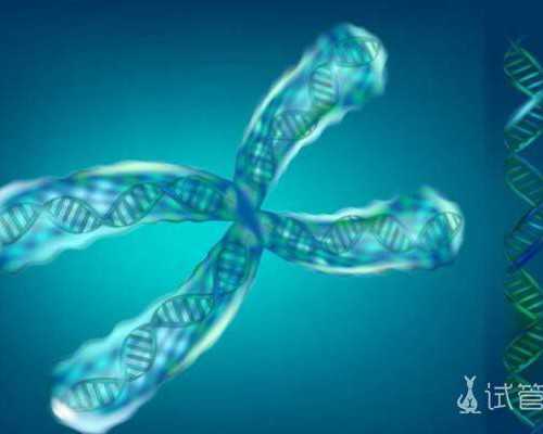 国内供卵如何排队,腺肌症试管*率(腺肌症试管*率有多少)