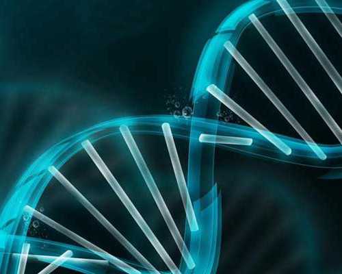 国内代孕怎么样,月经不调饮食方面应该注意哪些问题？