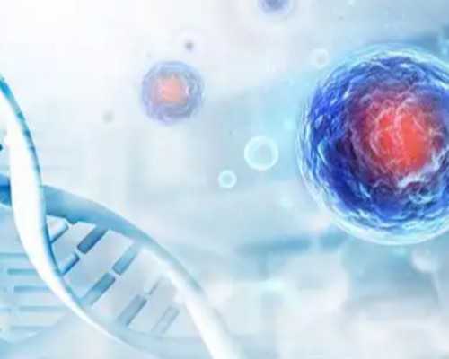 国内代生哪家好,移植后出血胚胎还能成功着床吗