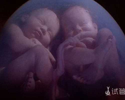 国内地下供卵的医院,温州市人民医院哪位医生做试管婴儿的成功率高一些？