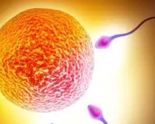 国内供卵试管是几代,天津医科大学总医院试管婴儿医*有哪些