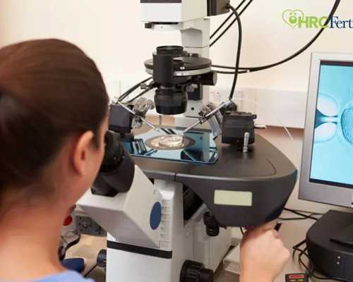 国内供卵试管不用排队,单角子宫做试管要多少费用，单角子宫做试管需要的费用明细