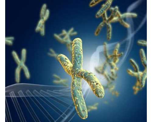 国内正规代怀价格,做试管婴儿大家眼中的好医生！北医三院乔杰、王颖上榜