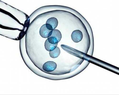 国内代孕地址,孕期经常做这些事，很容易生出“畸形娃”