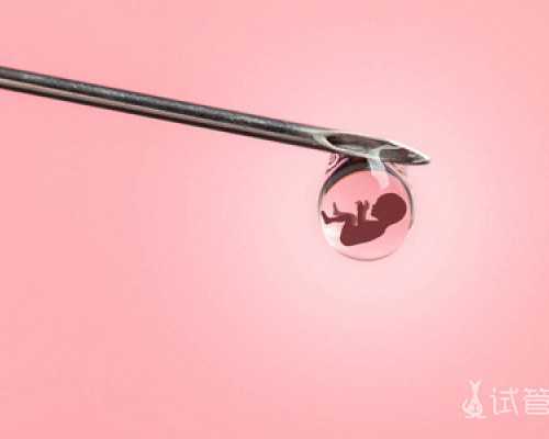 国内供卵代孕费用,香港大学深圳医院可以做试管婴儿吗？