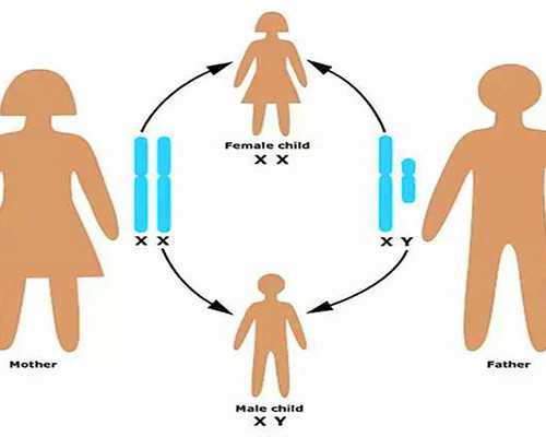 国内可以供卵的医院排名,株洲妇幼做试管婴儿费用大概多少*率高吗