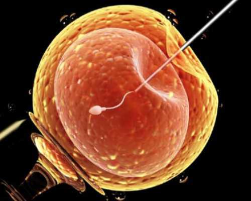 中国捐卵试管医院排名,九江三代试管婴儿费用大概多少钱