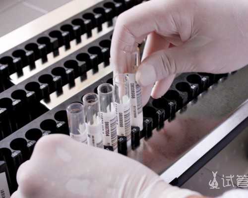 国内代怀儿子套餐,人工受孕价格是多少钱厦门妇幼