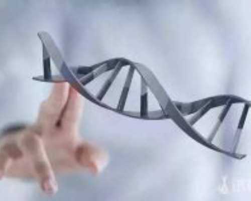 国内供卵价格多少钱,试管婴儿什么时候取精最好 有什么注意事项