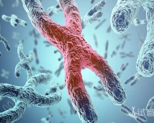 国内代生包成功,试管婴儿进周前必须要做的检查有哪些