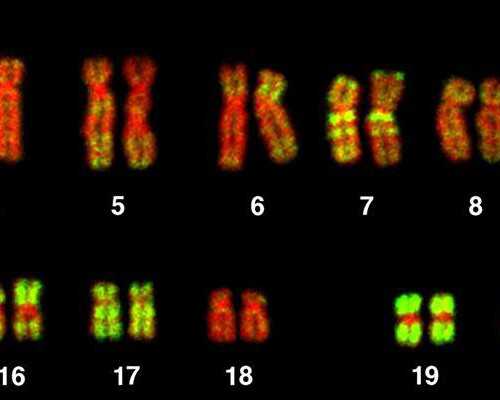 国内代怀男孩宝宝,四川试管婴儿生孩子价格是多少？
