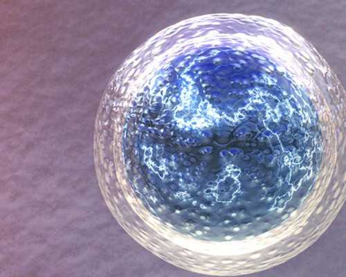 国内代怀妈妈,做三代试管婴儿筛查基因后还会生出智障儿吗？