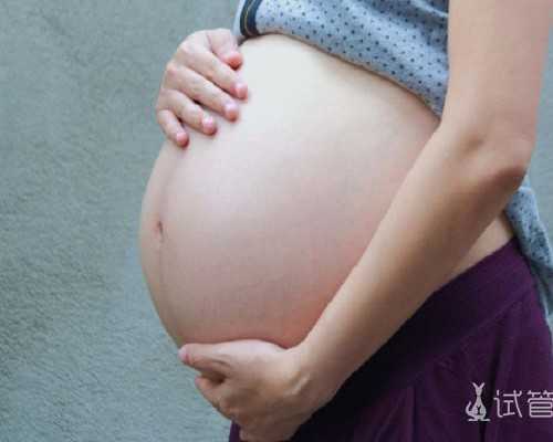 国内找代怀机构,试管移植2个胚胎双胎几率有多大