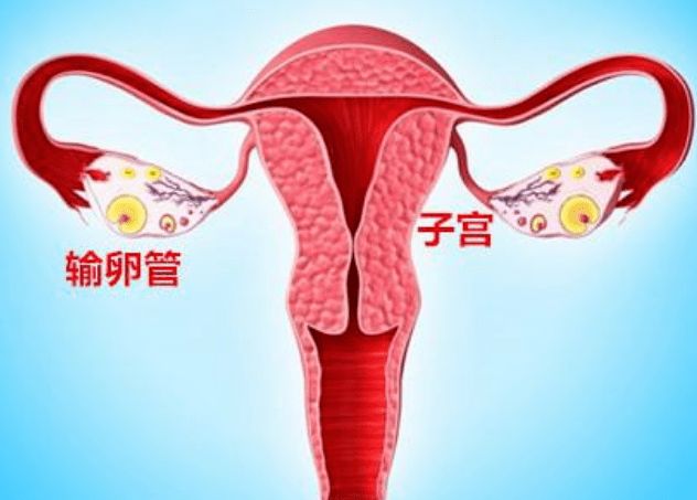 郑州三代试管婴儿是否能选择性别，有哪些条件