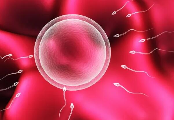 输卵管堵塞还能怀孕吗，怎样才能预防